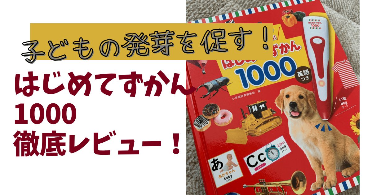 はじめてずかん１０００口コミは 効果は メリットとデメリットも徹底レビュー